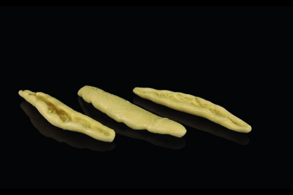 Cortecce fresh pasta